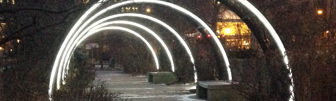 Twinkle lights on the York U Common